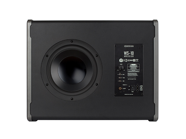 WS-10 subwoofer, side rear view.